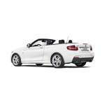 Akrapovic Evolution komplette Abgasanlage passend für BMW M240i F22 F23 & M140i F20 F21 mit EC-Zulassung