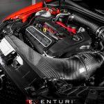 Eventuri Carbon Ansaugsystem passend für Audi RS3 VORFacelift